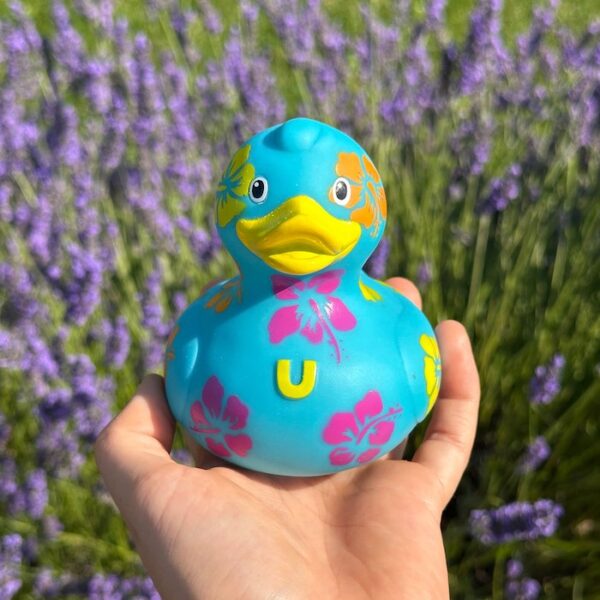 Art Ducks