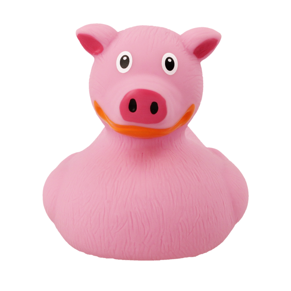 Pig Rubber Duck Pig Rubber Duck