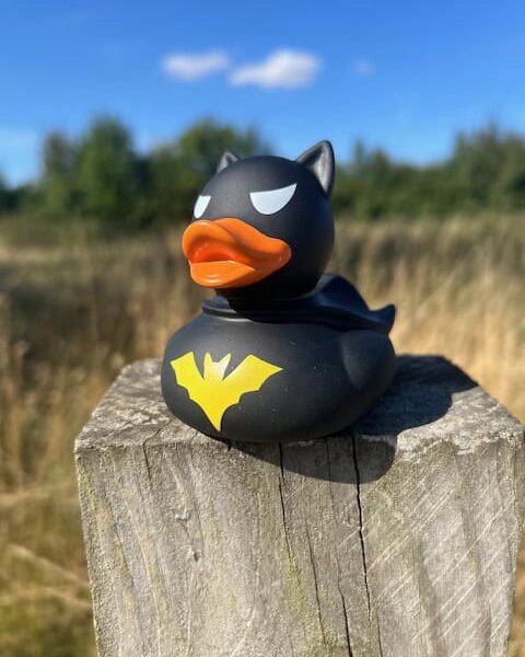 Music And Film Ducks