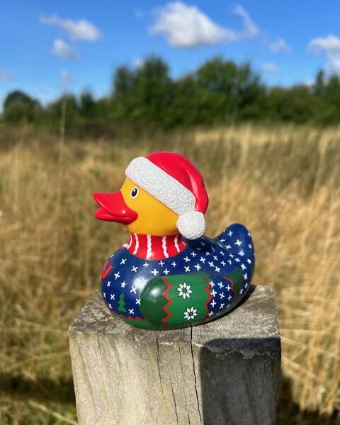 Seasonal Ducks