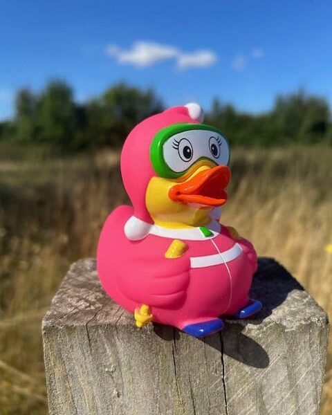 Sports & Leisure Ducks