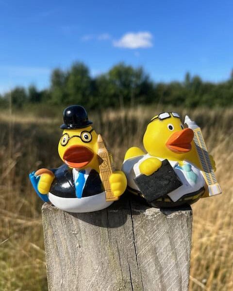 Travel Related Ducks
