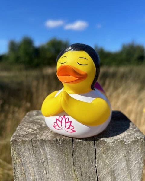 Wellness Rubber Ducks