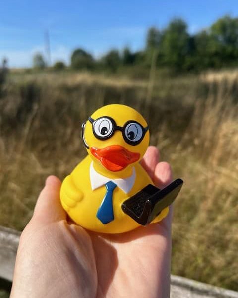 Work & Study Ducks