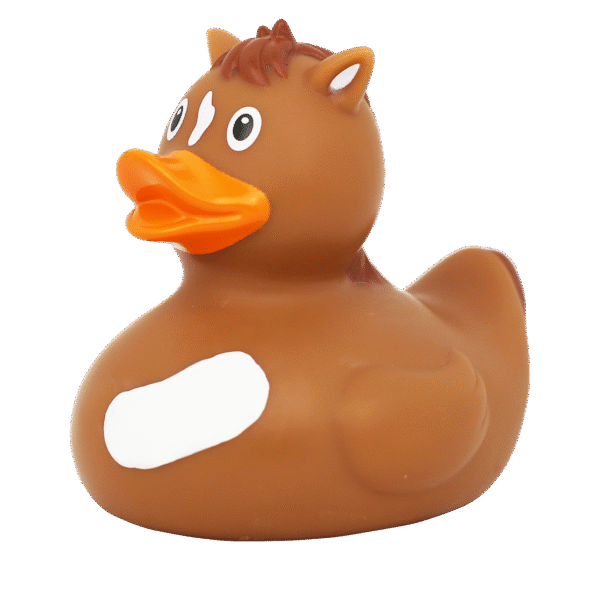 Pony Rubber Duck Pony Rubber Duck