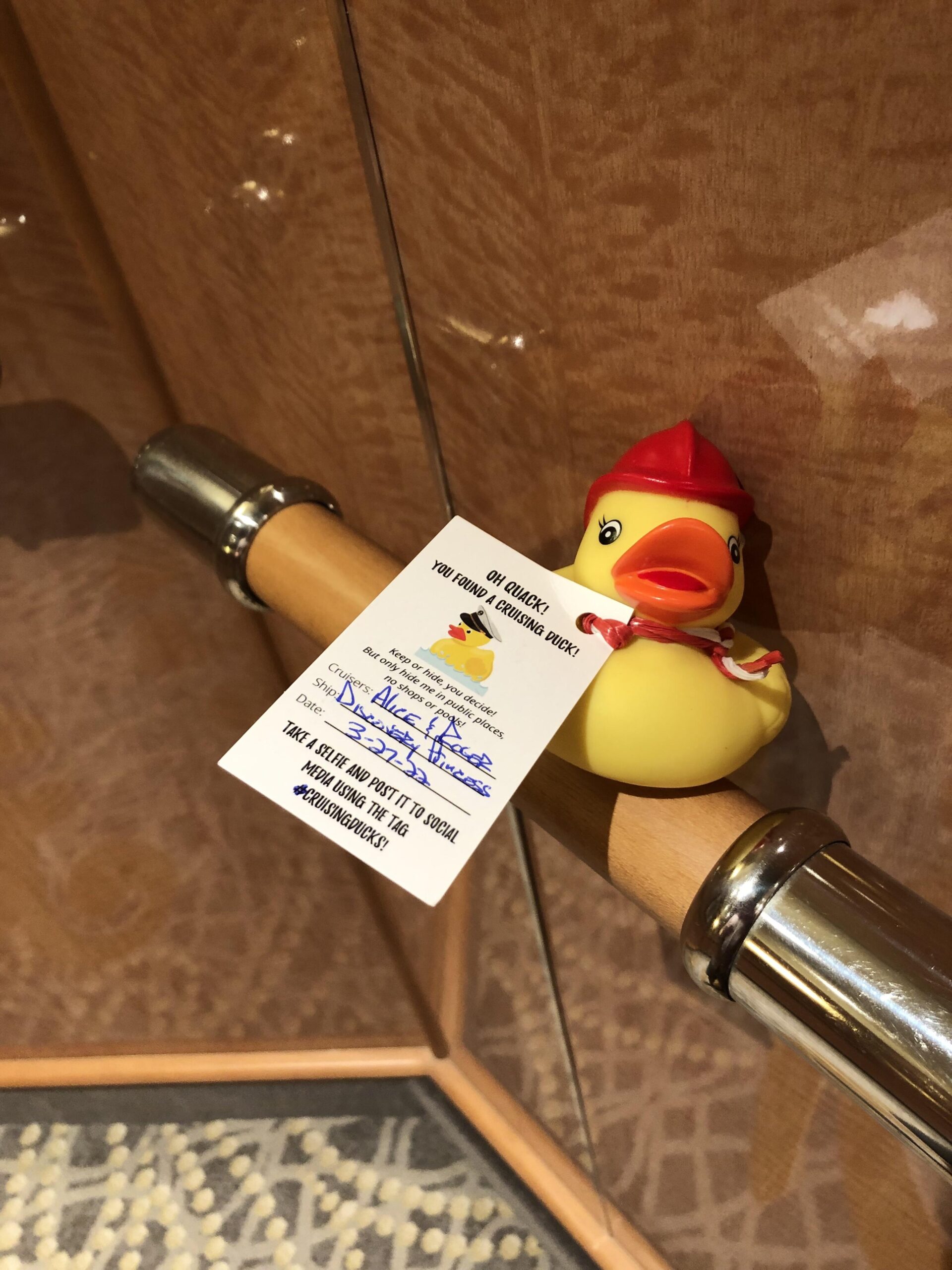 Cruise Ducks