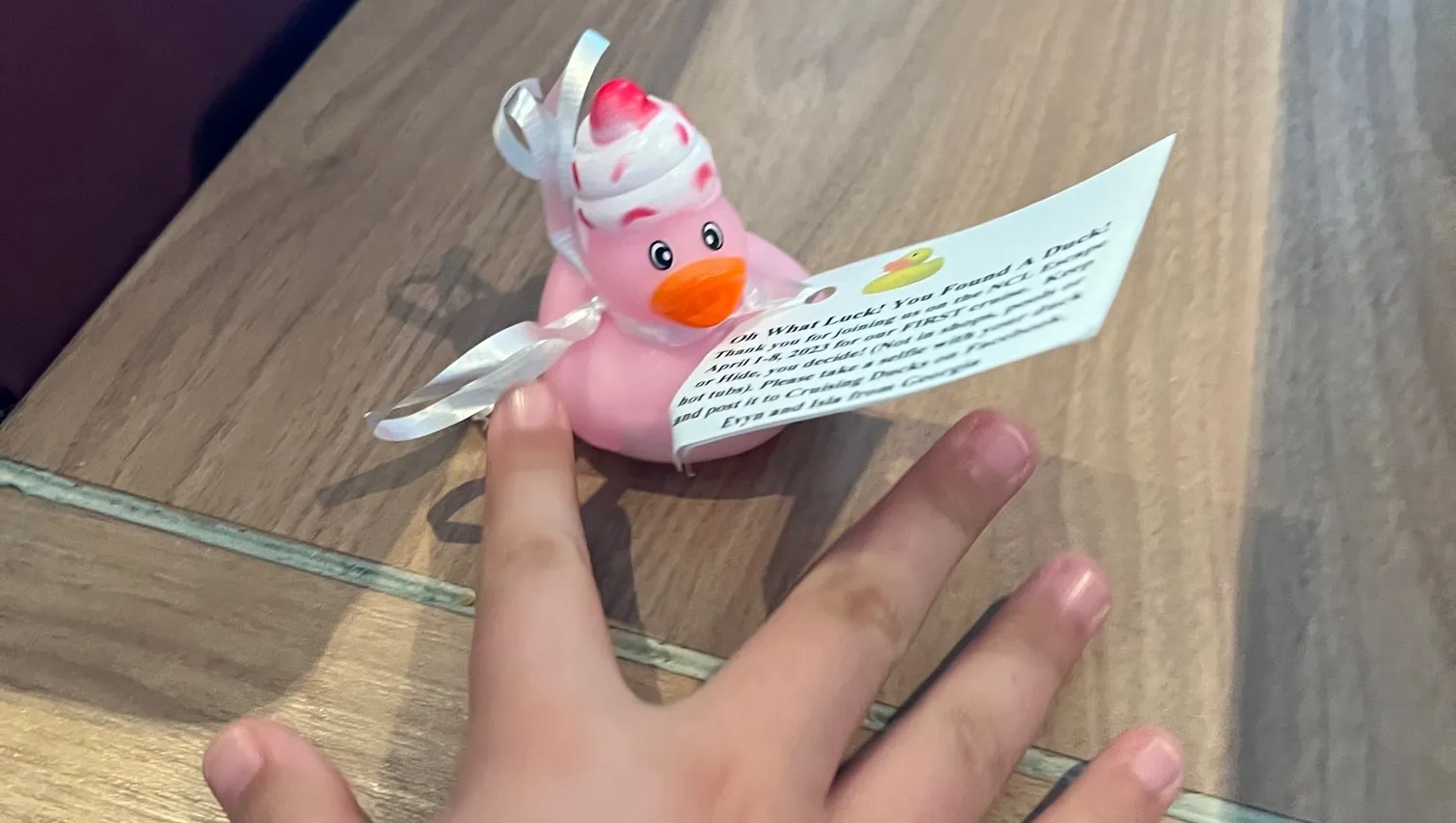 Rubber Ducks On Cruise Ships