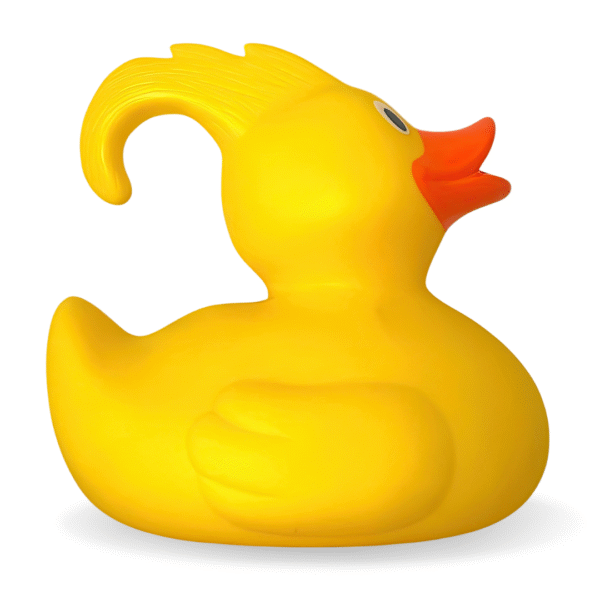Moulded Hook A Duck Rubber Ducks – 15CM Moulded Hook A Duck Rubber Ducks – 15CM