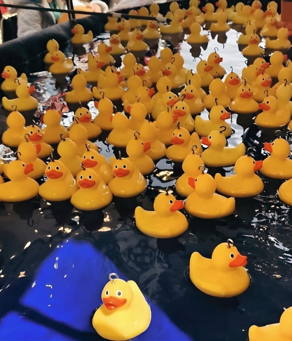 Hook A Duck 6 weighted rubber ducks hook-a-duck