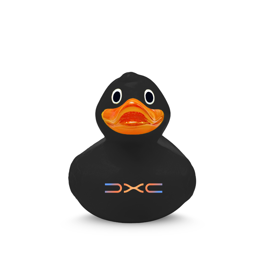 full colour printed rubber ducks