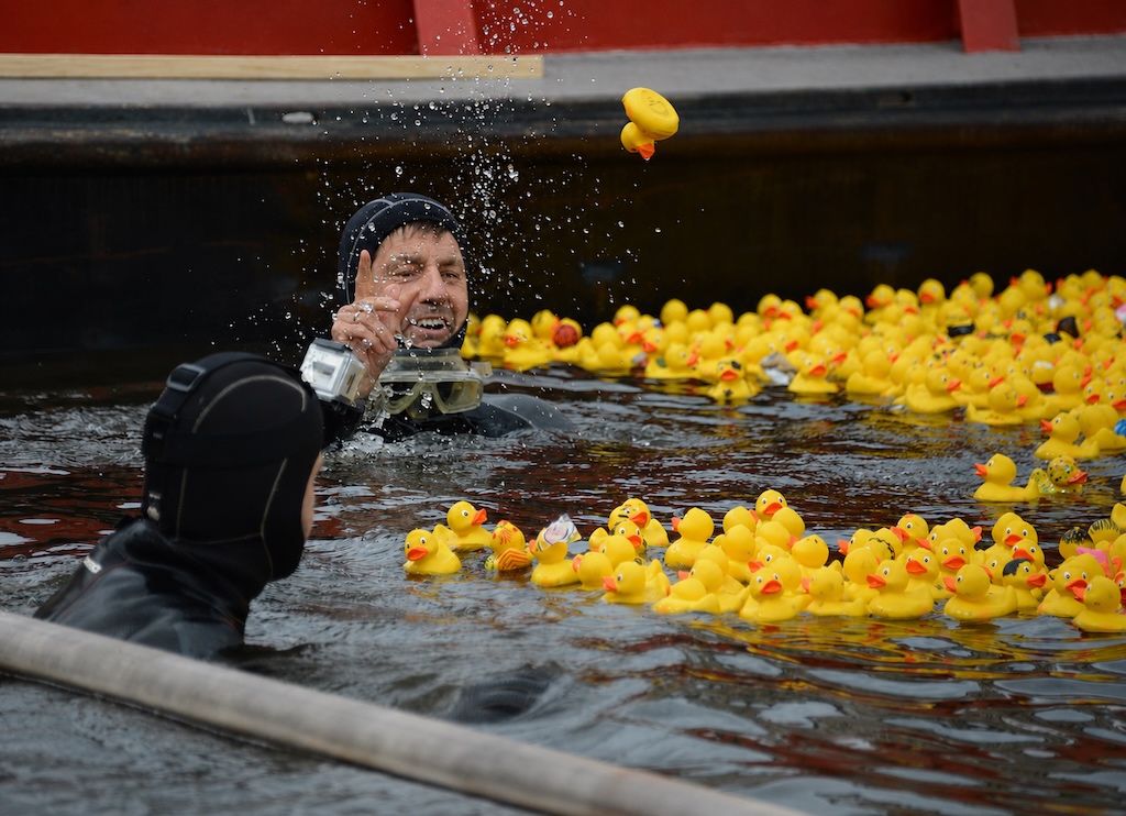 collecting rubber ducks