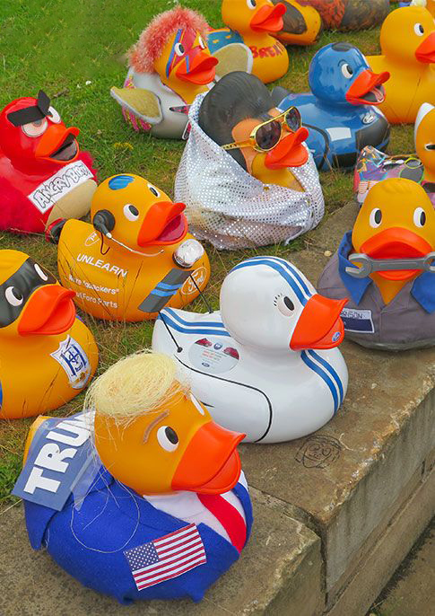 giant ducks corporate race